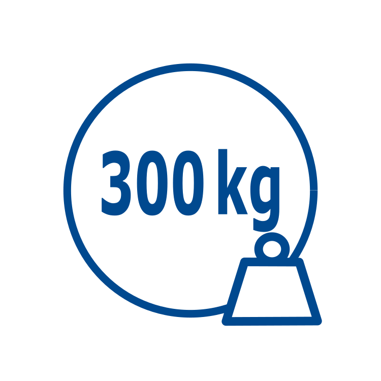 300kg